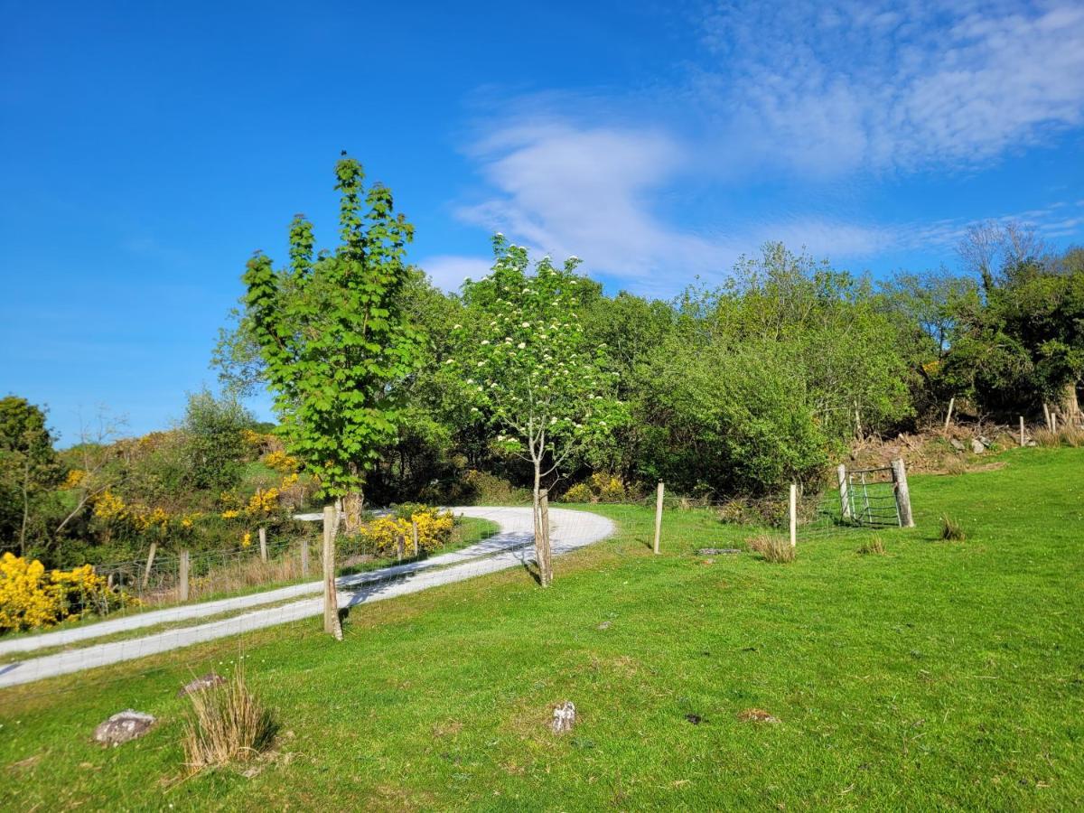 Oaklane Glamping Cabins Kenmare Exteriér fotografie