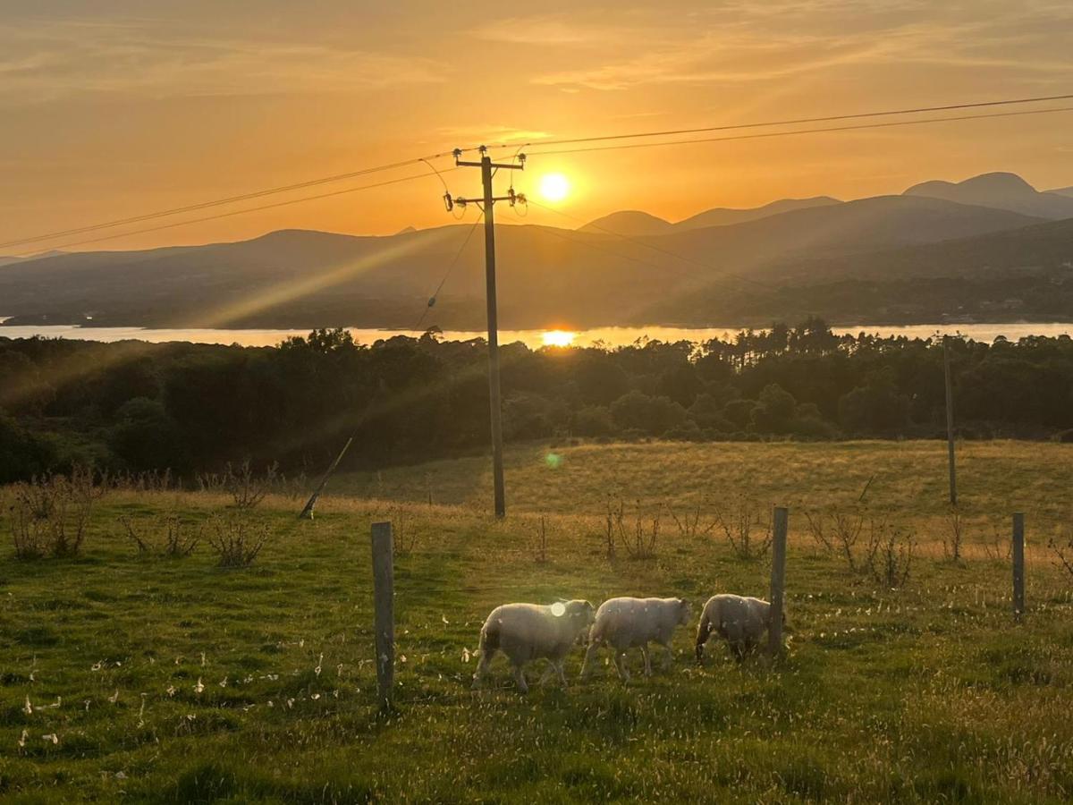 Oaklane Glamping Cabins Kenmare Exteriér fotografie